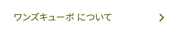ワンズキューブについて