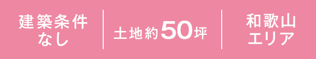 特徴
