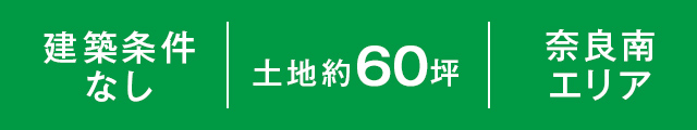 特徴